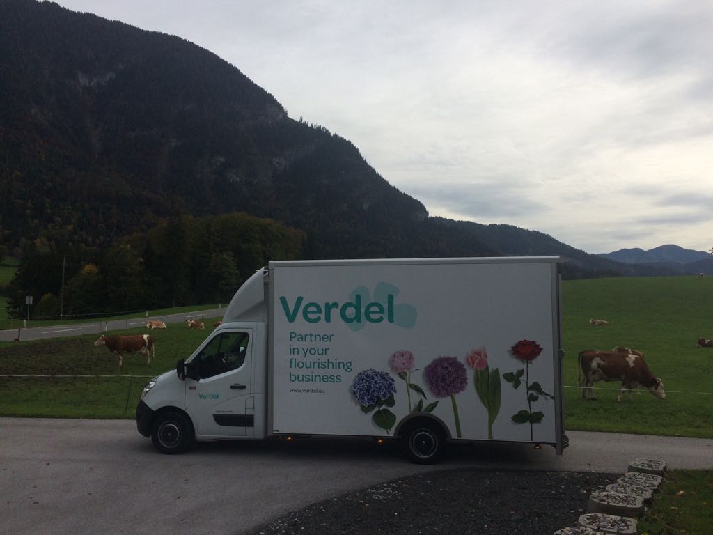 Verdel car fleet corporate design