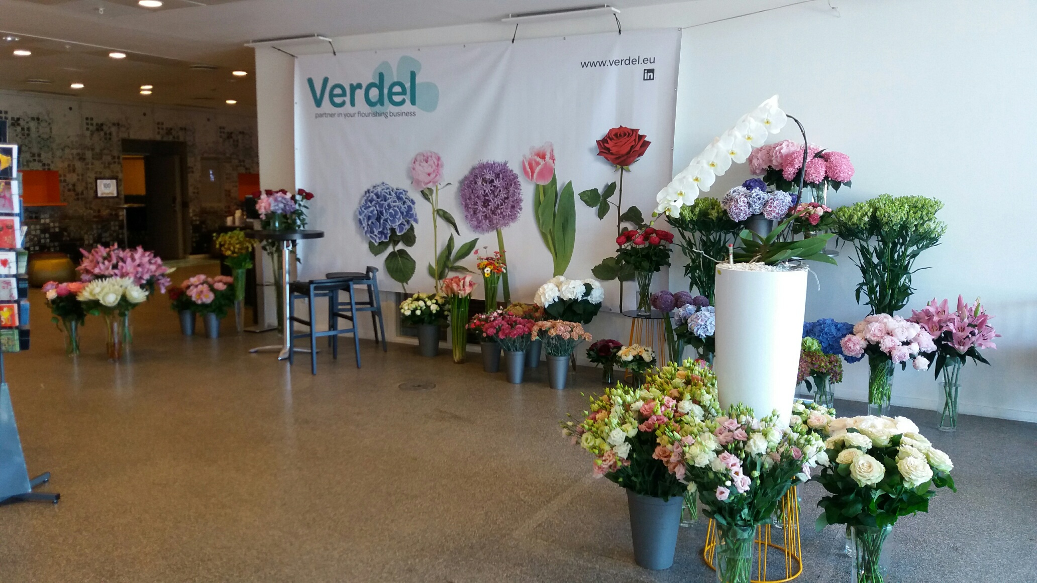 Verdel bij BLOMSTER